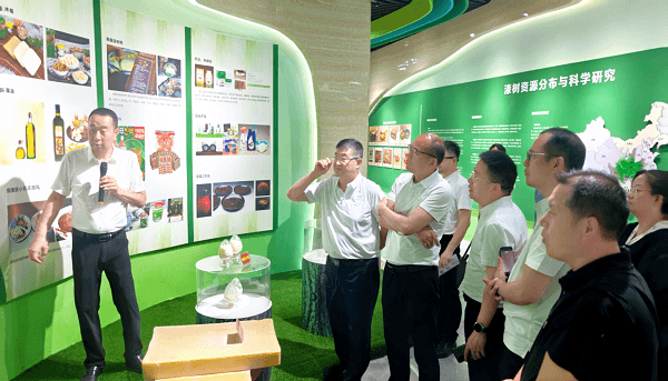 三棵树涂料考察团到访东正集团 聚焦天然漆产业链协同发展